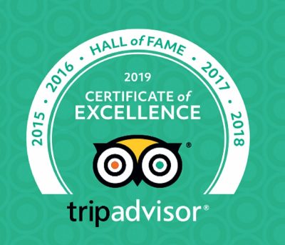 Tarot Zamm - Certificate of Excellence - TripAdvisor